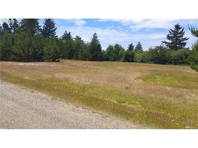 34333 West Ln photo 1