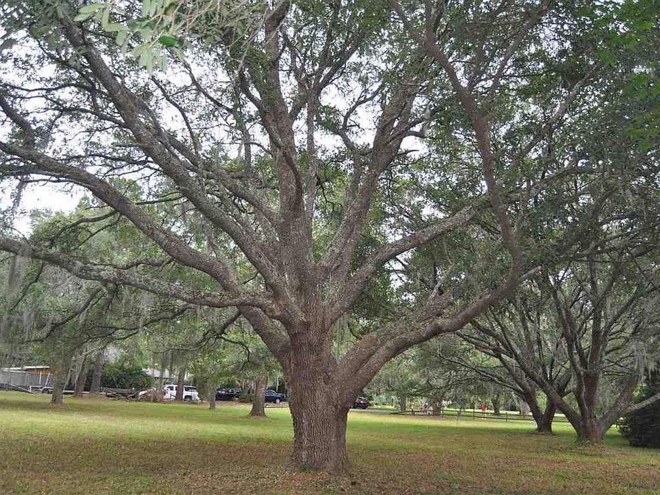 1st image of 190 Angel Oak Dr