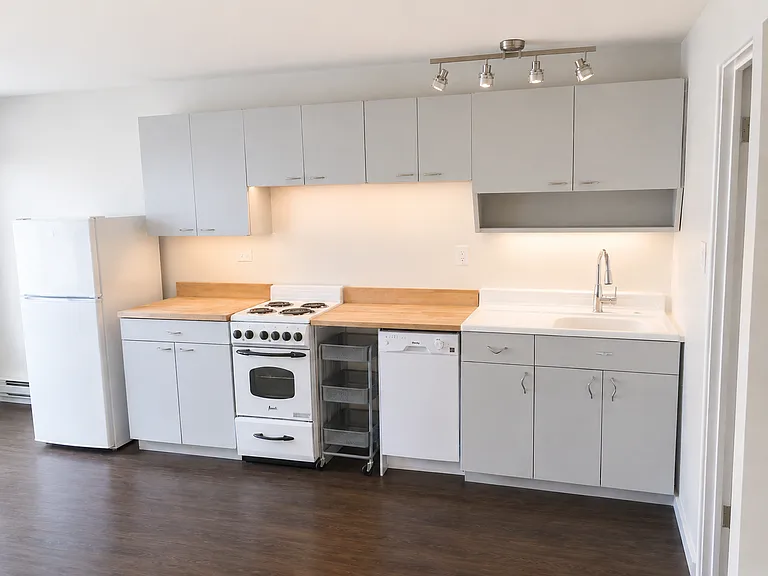 2900 N Lowell Blvd #1 — Photo 9
