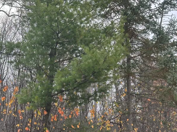 ON HWY 13, Ashland Town, WI 54806