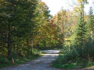 246 Moonshine Ln, Shrewsbury, VT 05738