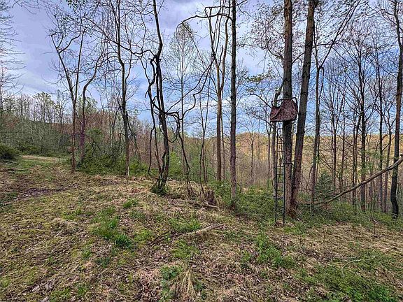 5th image of 1 Low Gap Run Rd
