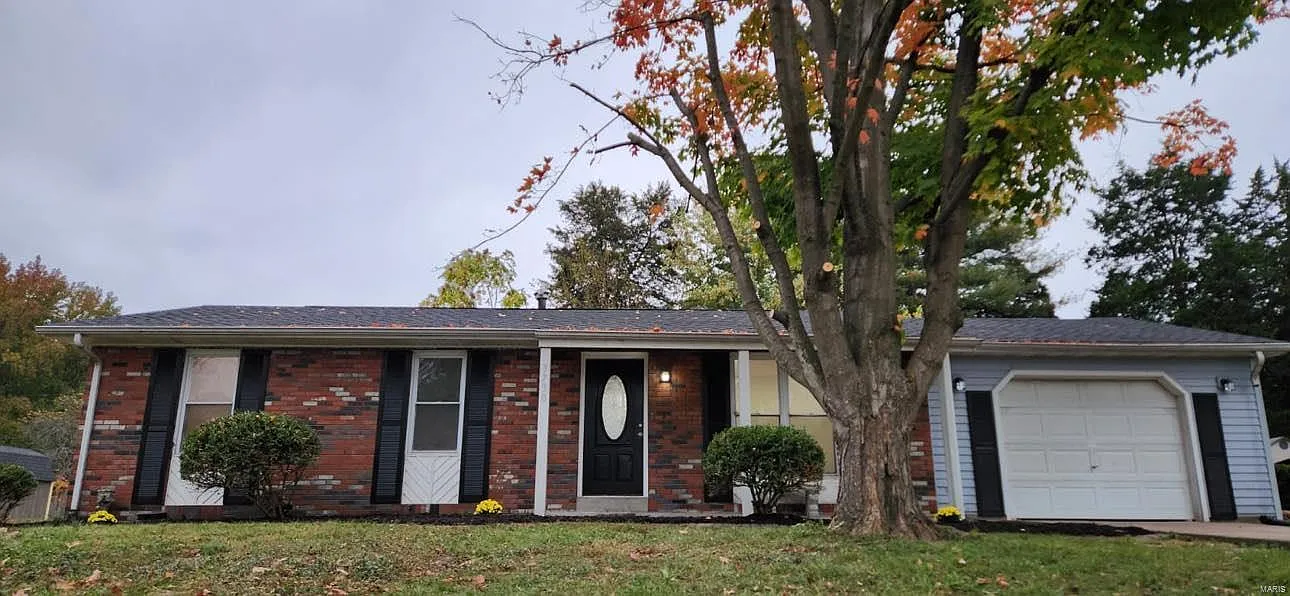 3730 Joyce St photo 1