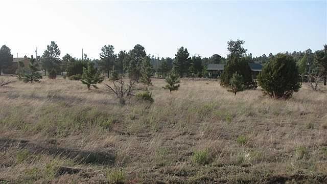 2nd image of 2736 Zane Grey Blvd