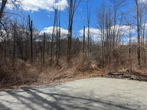 221 Old Center Grove Rd, Randolph Twp., NJ 07869