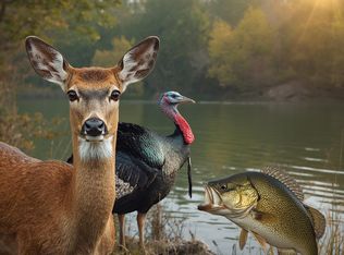 120 Oak Ridge Cemetery Rd, Defuniak Springs, FL 32435