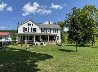 310 Dimmock Hollow Rd, Morris, NY 13808