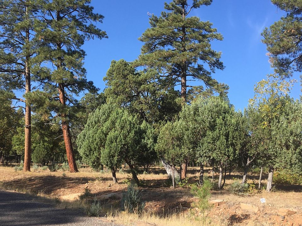 1st image of 5658 Bald Eagle Way Lot 177