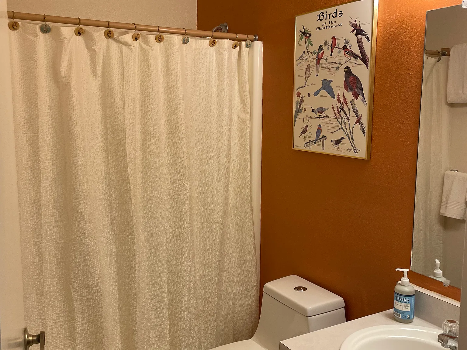 2 bed, 929 sqft, $2,800 — Photo 4