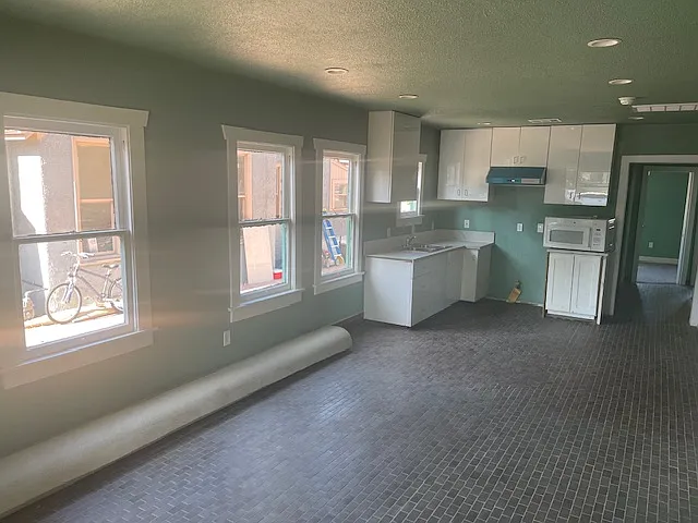 Living Room/Kitchen - 3049 Lime St