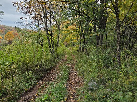 3rd image of Lot #21 Herbert Road