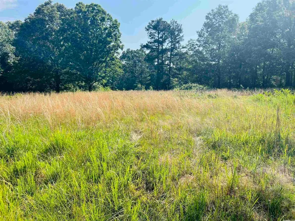 Haney Dr, Violet Hill, AR 72584