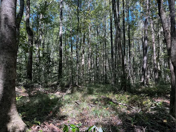 0 County Road 91, Tuskegee, AL 36083