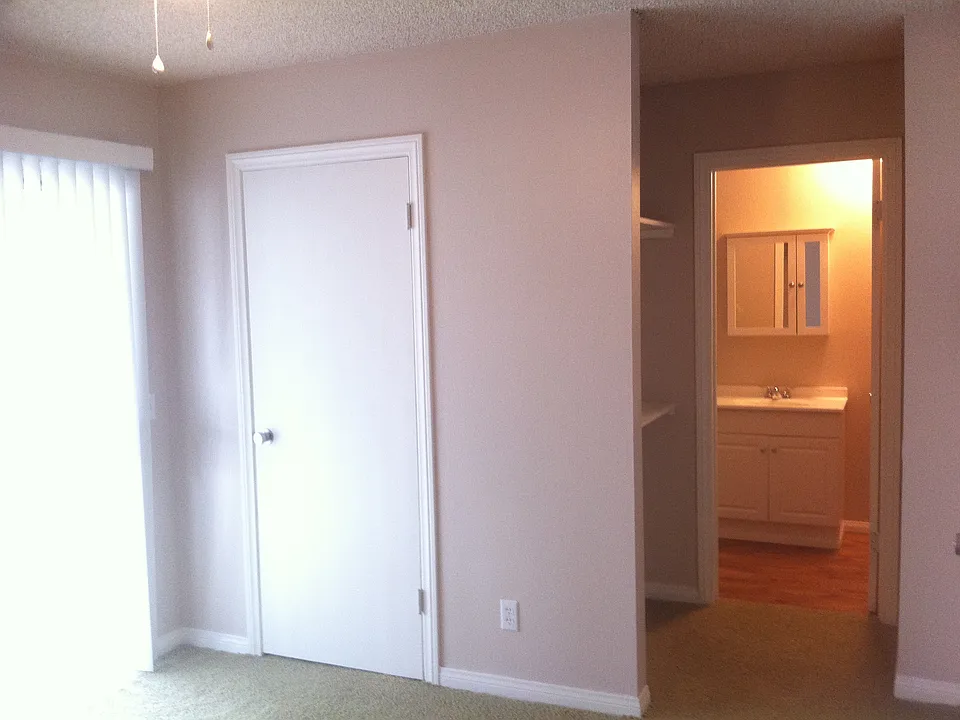 bedroom walk in and hall to bath