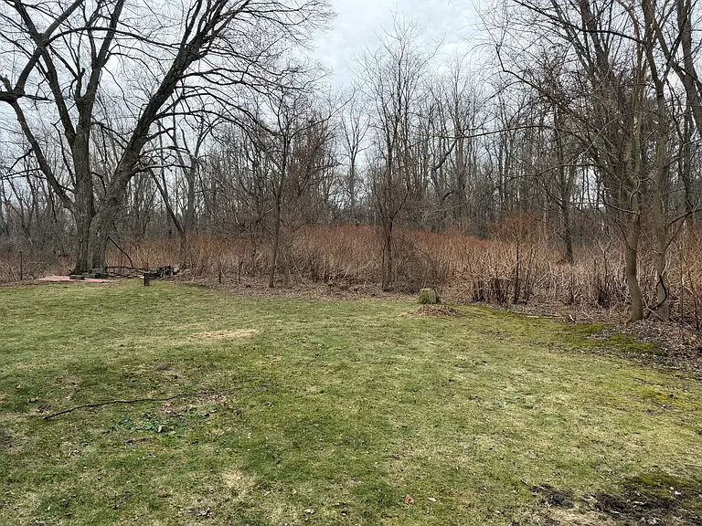 100 Summerset Rd — Photo 6