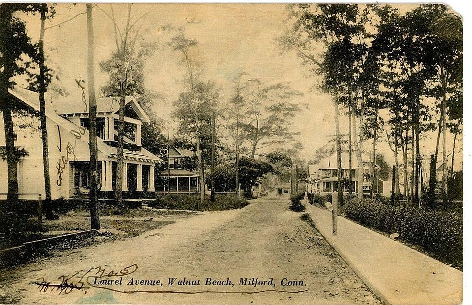 2nd image of 41 Laurel Ave