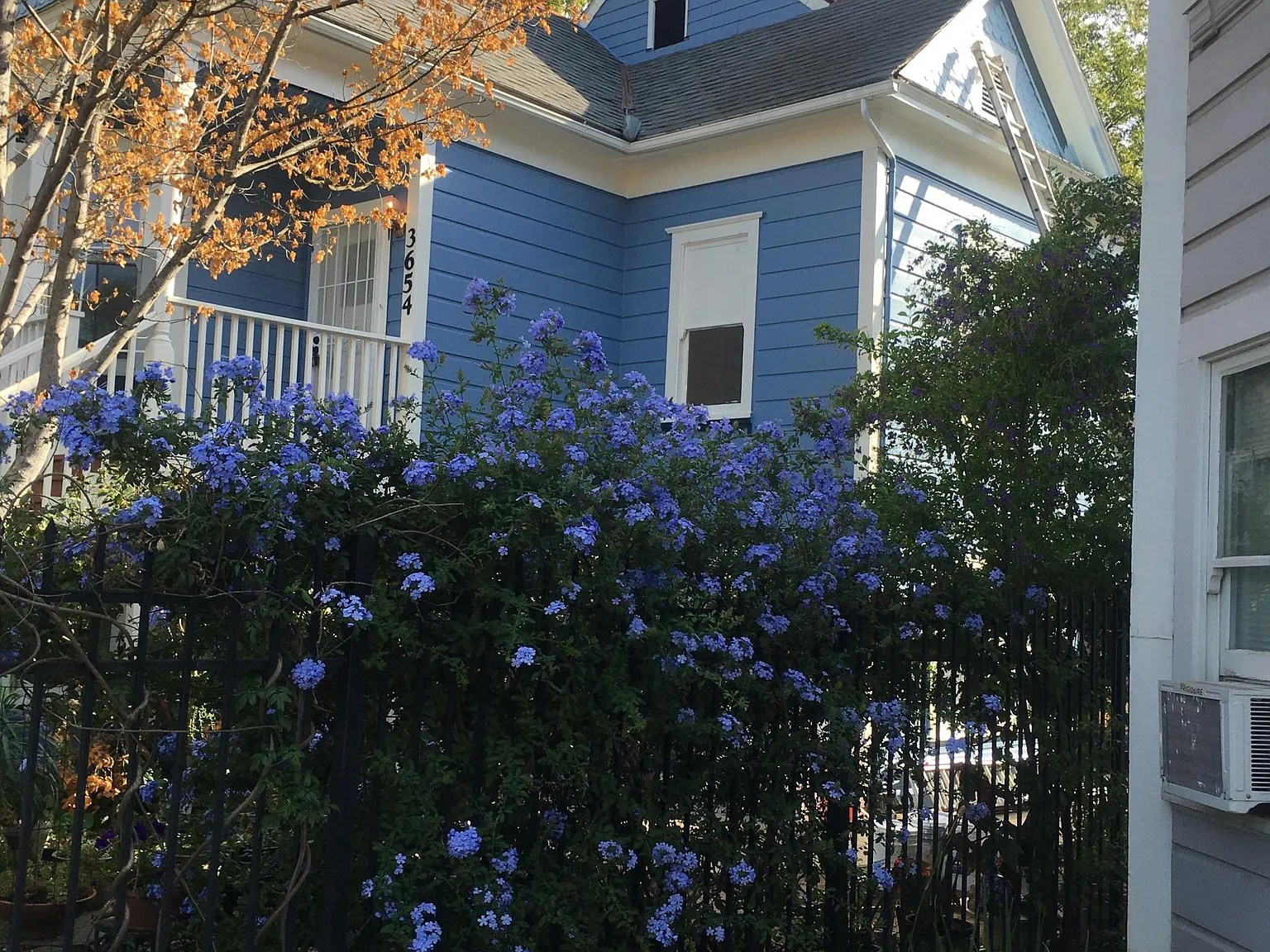 Studio, 600 sqft, $1,750 — Photo 1