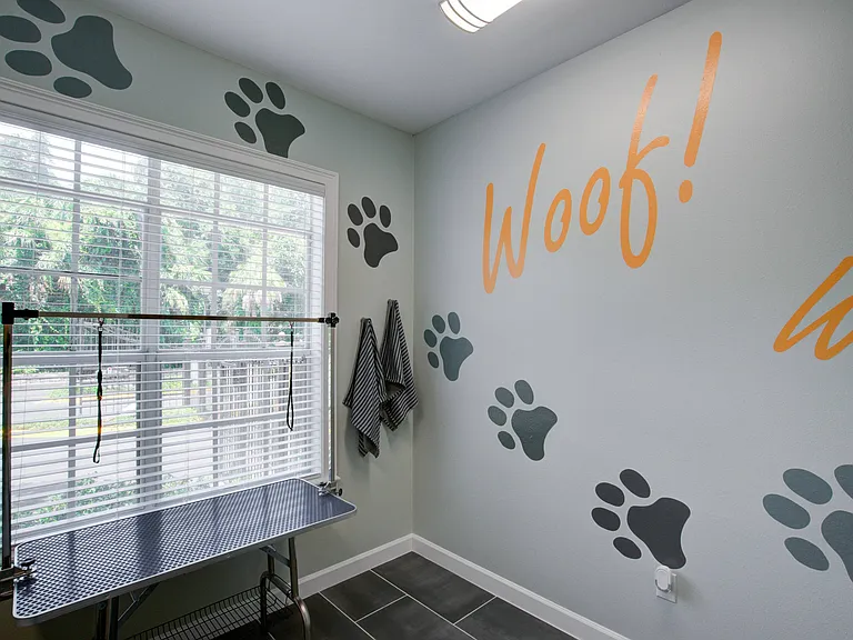Grooming Station in Pet Spa