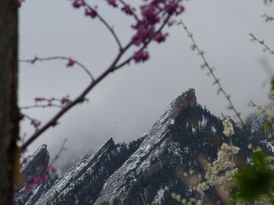 property view in spring