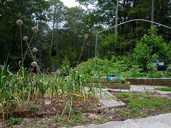 Garden area