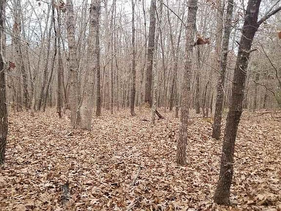5th image of Red Oak Dr