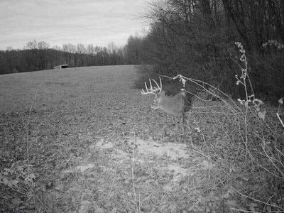 1111 Clear Branch Rd, Liberty, KY, 42539