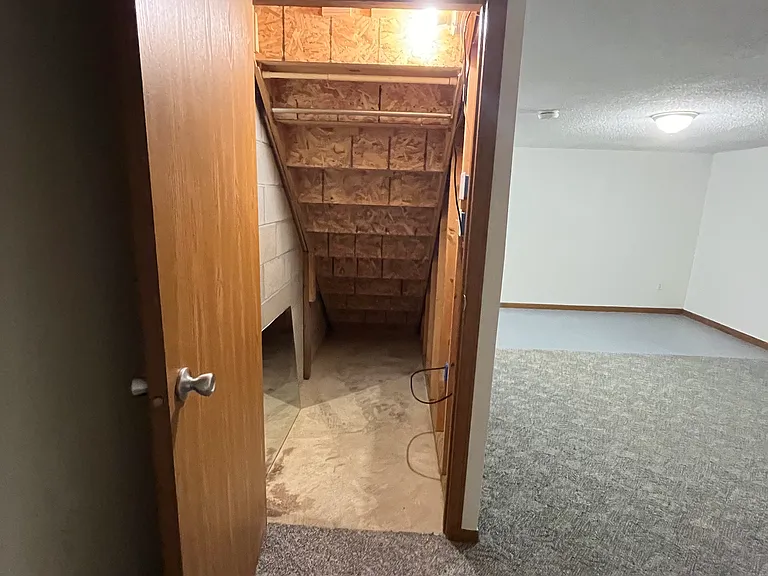 under stairs storage