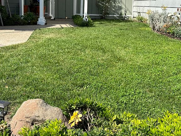 Front Lawn