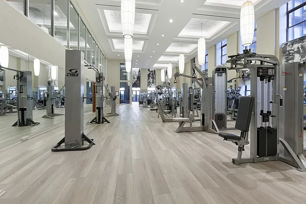 Rented by Platinum Properties | media 30