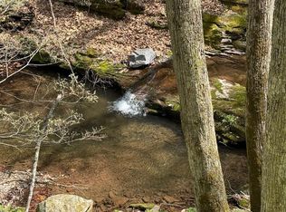1 Straders Run Rd #2-56.7, Seneca Rocks, WV 26884