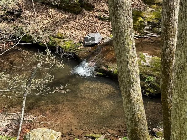 1 Straders Run Rd #2-56.7, Seneca Rocks, WV 26884