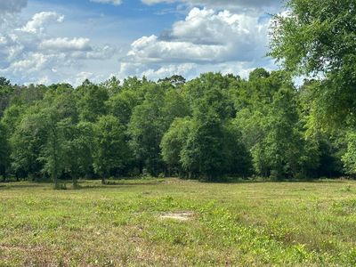 PARCEL County Rd #A, Florala, AL, 36442