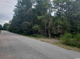 TRACT C One Windsor Dr #22-489, Georgetown, SC 29440