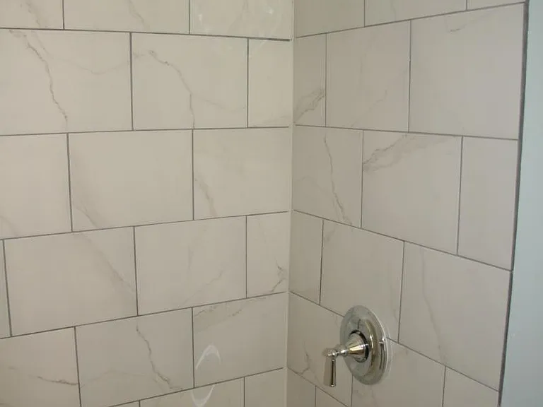 Shower Bathroom 2