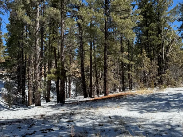 Sawmill Canyon Rd, Ramah, NM 87321