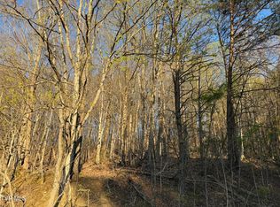 Possum Hollow Rd, Johnson City, TN 37615