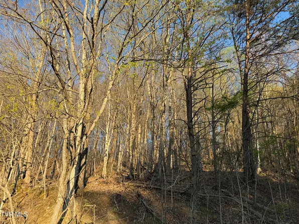 Possum Hollow Rd, Johnson City, TN 37615