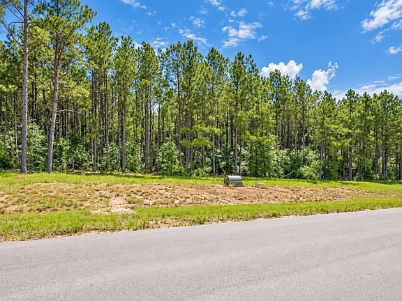 2nd image of 10721 Ruger Rd Lot 1