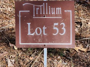 53 Springhead Trl, Cullowhee, NC 28723