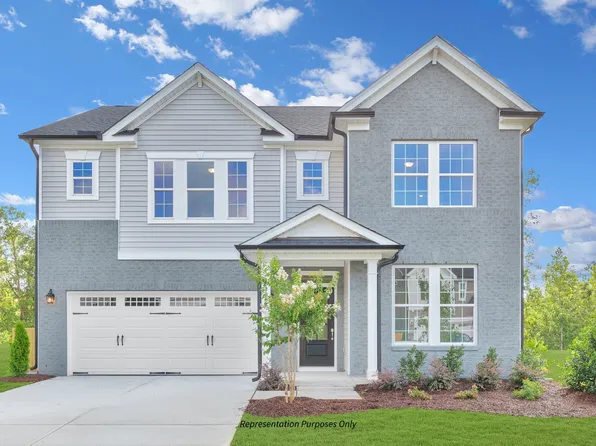 The Selma Plan, Cattail