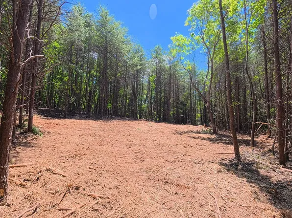 TRACT 2109 Riddle Rd #A, Pauline, SC 29374