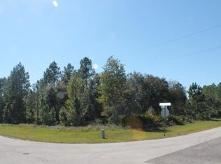1307 Hidden Palms Dr, Davenport, FL 33897
