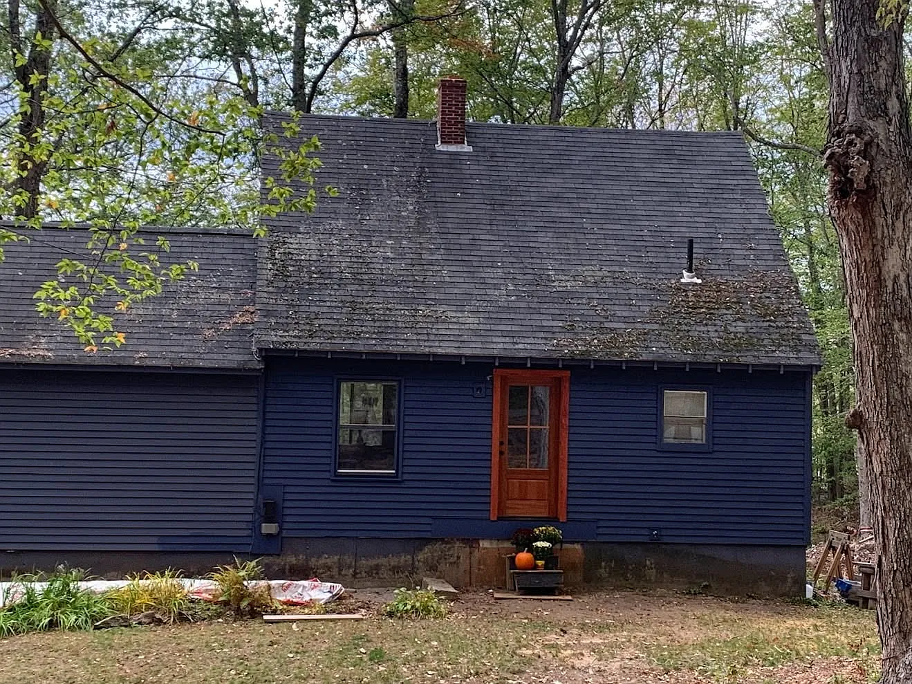 2 bed, 1600 sqft, $2,300 — Photo 1
