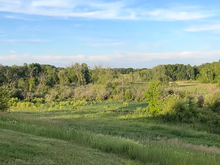 11654 County Road 150 — Photo 26