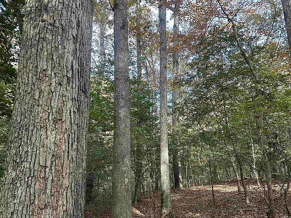 4th image of (Undisclosed Address)