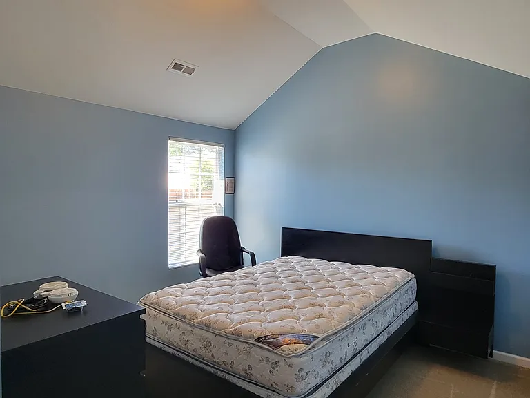 3742 Horseshoe Farm St — Photo 8