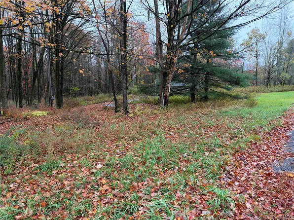 243 Lt. J.G. Brender Hwy, Liberty, NY 12734
