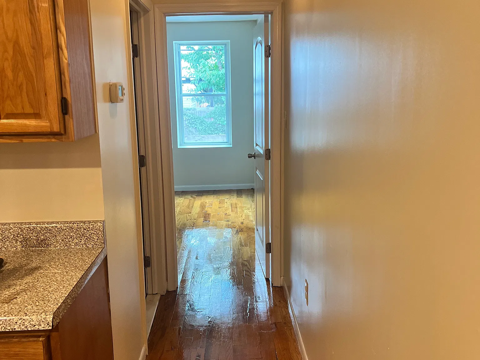 1 bed, 850 sqft, $1,100 — Photo 2