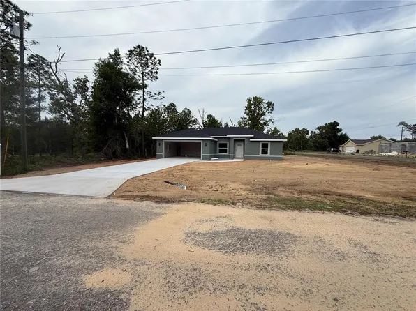 3 Guava Place Dr, Ocklawaha, FL 32179