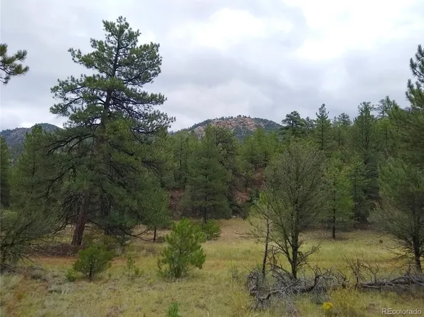 000 Gold Pan Trail, Cotopaxi, CO 81223